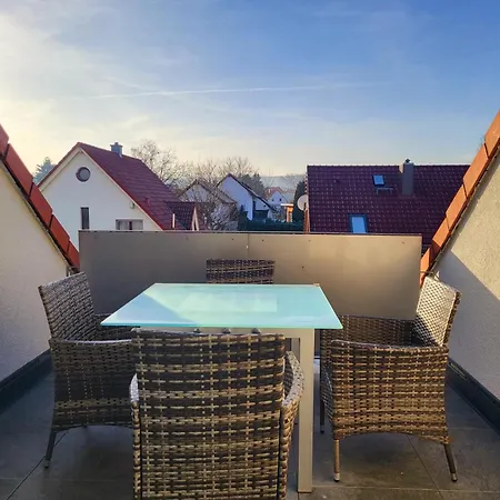 Erdmaennchen Bellenberg
