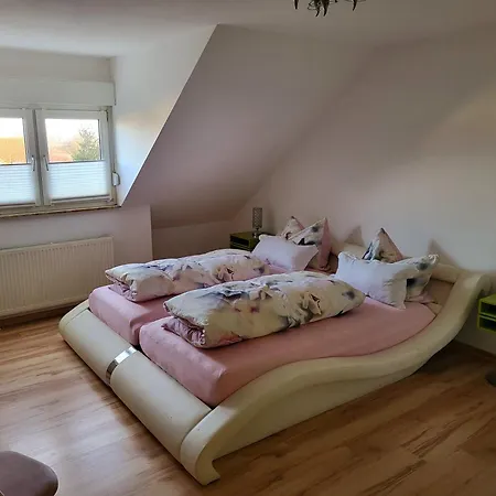 Erdmaennchen Bellenberg